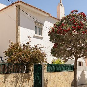 Casa de 3 Dormitorios